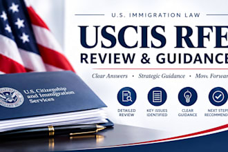 review your uscis rfe and provide written immigration guidance