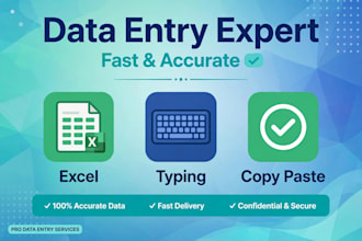 do fast and accurate data entry, excel and copy paste work