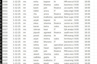 do data entry at excel