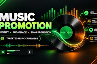 promote your music on spotify and audiomack with targeted song promotion