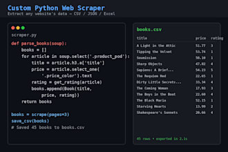 build a custom python web scraper to extract any website data