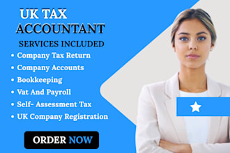 prepare UK corporation tax return, company annual accounts