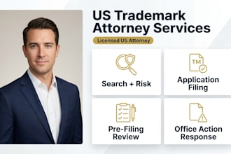 conduct a professional US trademark search and legal risk assessment