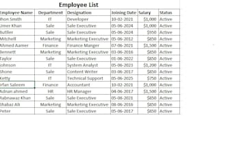 do excel data entry and microsoft word work