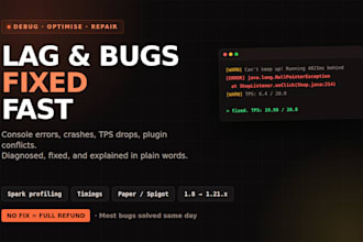 fix bugs and lag on your minecraft server or plugin