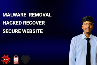malware removal and wordpress security enhancement
