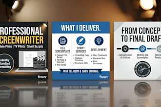 do professional film and tv screenplay scriptwriting