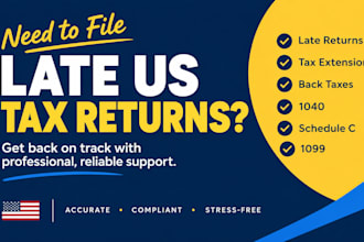 file late US tax returns, tax extensions, back taxes, 1040, schedule c and 1099