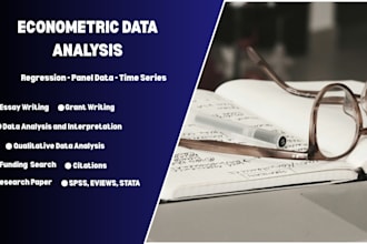 provide econometric analysis, statistical modeling, and research support