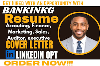 write banking, accounting, finance, marketing, sales, auditor, executive resume
