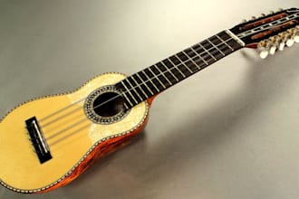 record charango, ronroco, cuatro, tres, bandola, mandolin, guitar, banjo, dobro