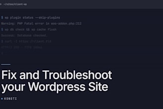 fix and troubleshoot your wordpress website