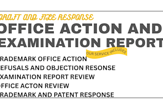 draft and file response to office action and examination report