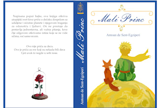 design a professional and minimalist book cover