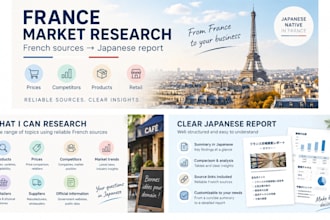research the french market and report in japanese