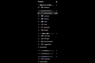 professionally set up your discord community or gaming server