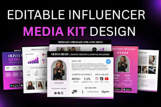 design luxury media kit, press kit media kit design press kit design epk design