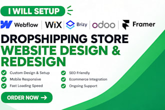 setup webfolw wix brizy odoo framer dropshipping store website design redesign