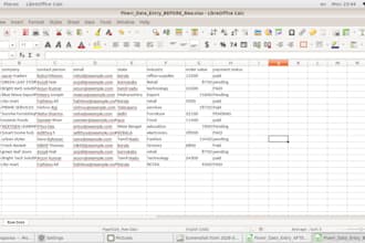 do accurate data entry in excel and spreadsheets