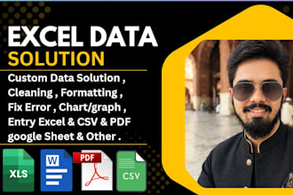 do clean, format, analyze excel data and create dashboards