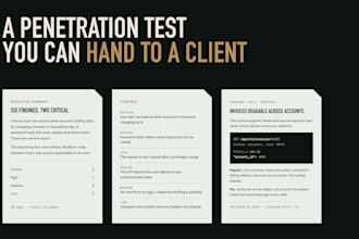 do penetration testing of your website and web application with a full report