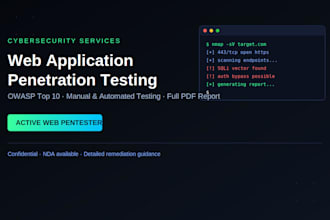 perform a web application security penetration test