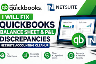 fix quickbooks balance sheet p and l discrepancies netsuite accounting cleanup