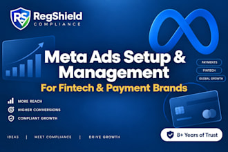 setup and manage meta ads for fintech and payment brands