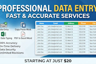 do perfect data entry copy paste and excel data typing work