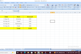 do professional data entry, excel data entry and copy waste work