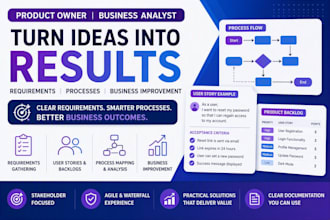 provide expert business analysis, requirements capture and process improvement