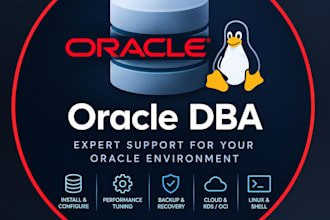 provide expert oracle dba administration