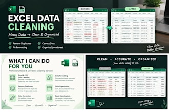 data cleaner and analyzer and dashboard maker