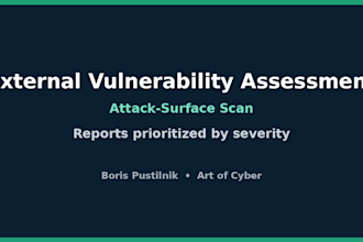 perform an external vulnerability assessment of your domain