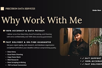 do fast excel data entry, pfd to excel and copy paste work