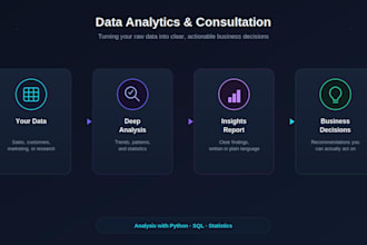 provide data analytics and consultation for your business
