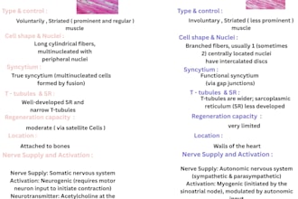 a scientific and events posters