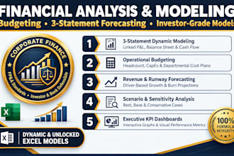 perform financial analysis, budgeting, and forecasting for startups or smes