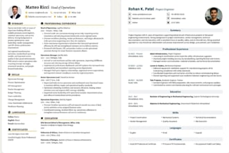 design and write a professional CV and resume