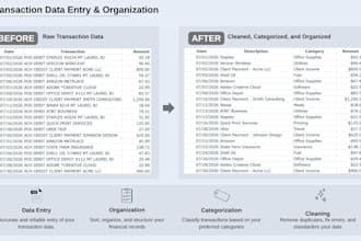 financial data entry and organize your business transactions
