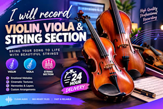 record violin, viola and string section for your song in 24 hours