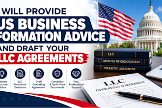 provide US business formation advice and draft your llc agreements