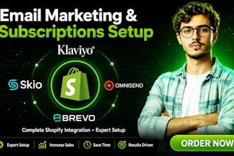 set up klaviyo spok omnisend brevo email flows or skio subscriptions for shopify