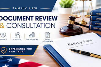 provide expert family law document review and consultation