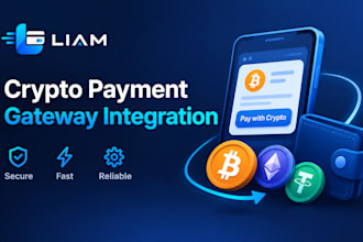 build and integrate a custom payment gateway and payment processor