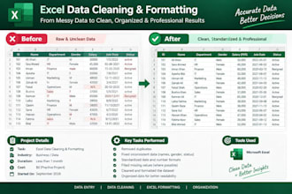 do accurate data entry and clean excel data