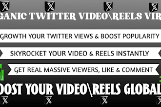 do professional twitter reels video promotion for real engagement using ads