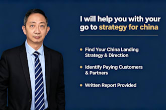 help you with your go to market strategy for china