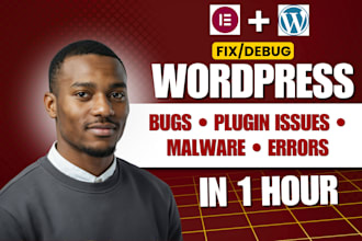 fix wordpress issues, wordpress bug fix, malware fix, plugin errors debugging