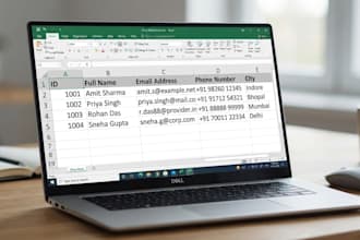 do reliable data entry and excel work